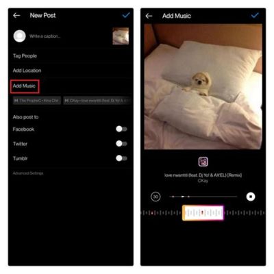 Can I Add Music to Instagram Post? A Detailed Exploration