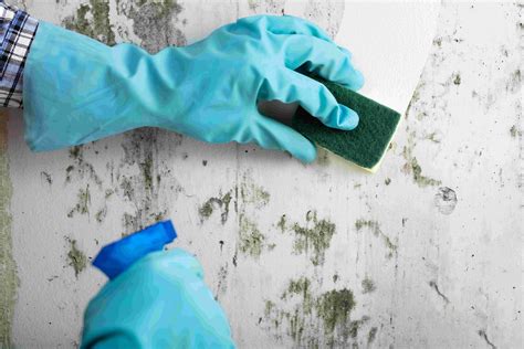 How to Clean Walls for Painting: A Detailed Guide with Insightful Tips