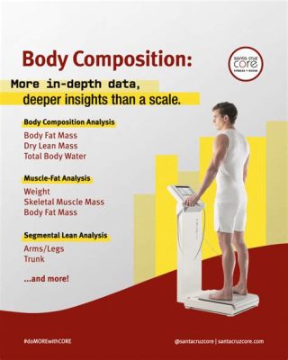 What Does Body Composition Measure and Its Impact on ISSA: A Detailed Analysis